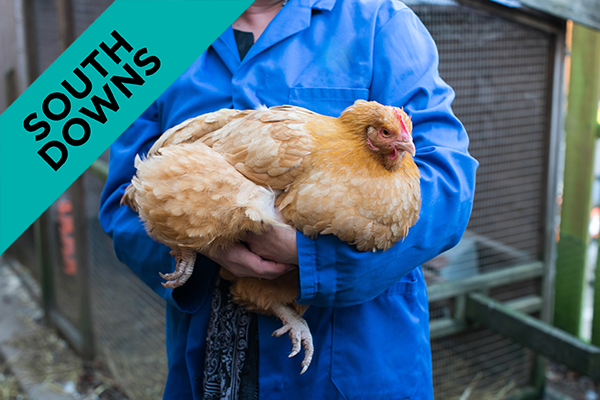 student holding a chicken