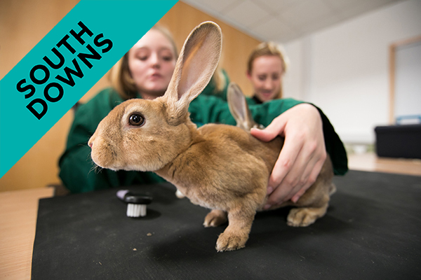 student holding a rabbit