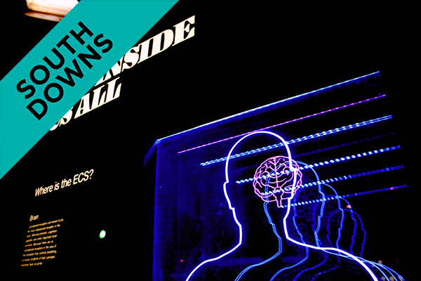 silhouette of a human body in lights