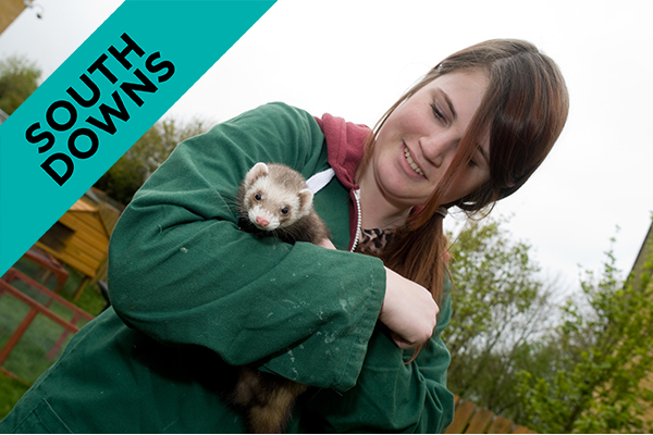 a student holding a ferret
