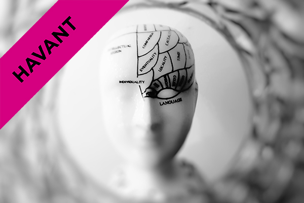 a model of a human head with the brain labelled