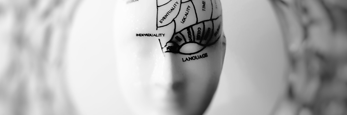 a labelled model of a human head