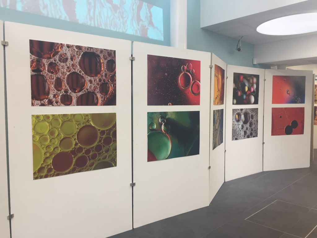 News Art Goes Viral! HSDC