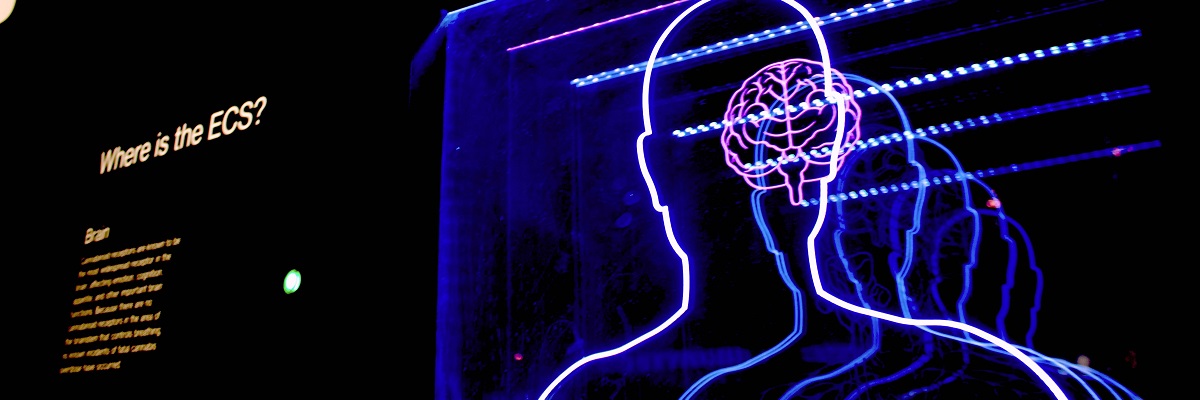 silhouette of a human body in lights