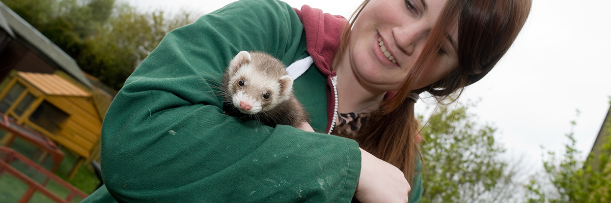 a student holding a ferret