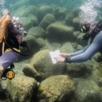 two snorkelers underwater