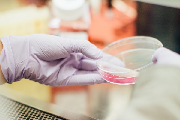 a person with gloves on holding a petri dish with chemical inside