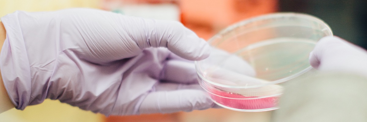 a person with gloves on holding a petri dish with chemical inside
