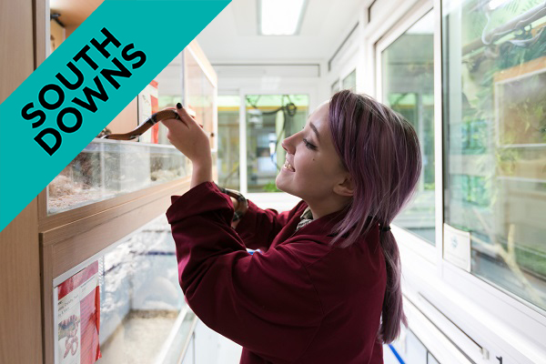 Young person holding a snake in their Animal Management Level 3 Extended Diploma Course