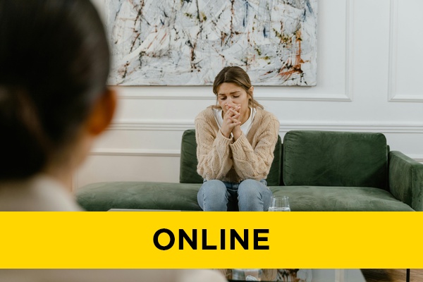 A counsellor talking to a client.