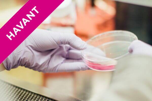 a person with gloves on holding a petri dish with chemical inside