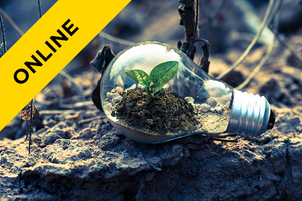 environment, sustainability