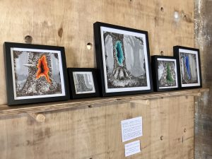 Kitty's artwork on display at Hotwalls.