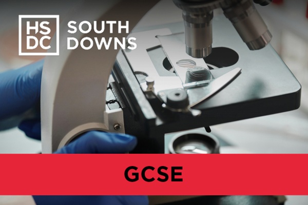 A closeup of a microscope being used by a pair of gloved hands.