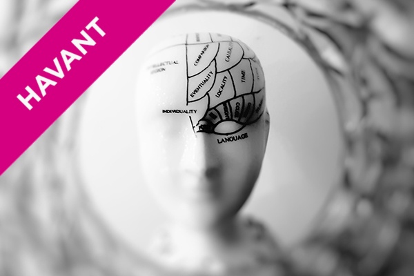 a model of a human head with the brain labelled