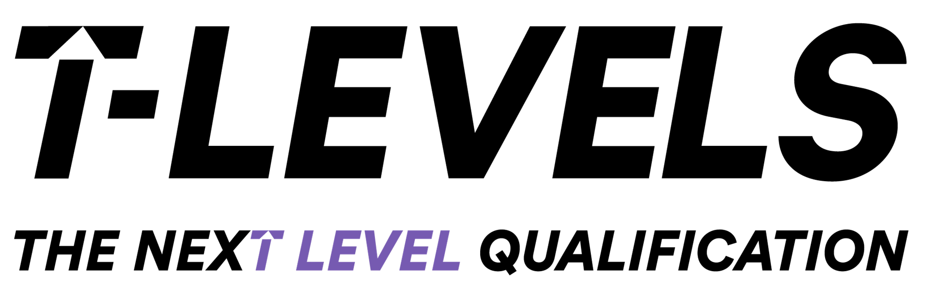 T levels Graphic 