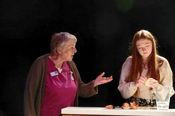 A picture from the Alton Fringe Theatre's Performance of Things I Know To Be True
