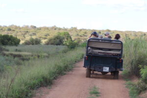 South Africa safari Alton College. 